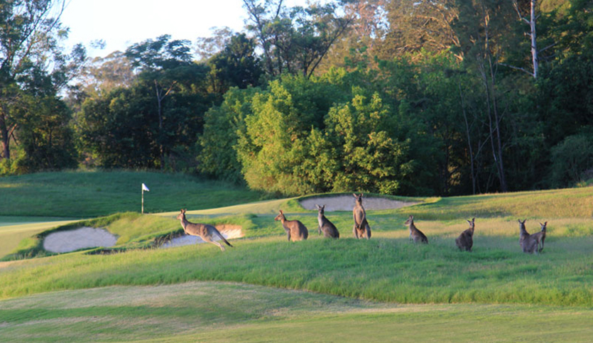 gangurru course3.jpg
