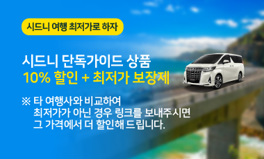 241106-시드니단독가이드할인.png