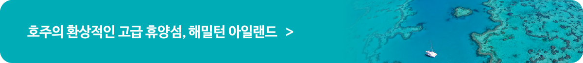 매일 신나는 엑티비티!!! 배너