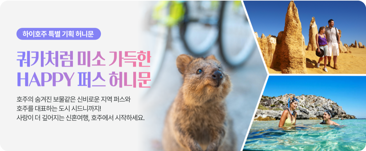 허니문 탑 배너 