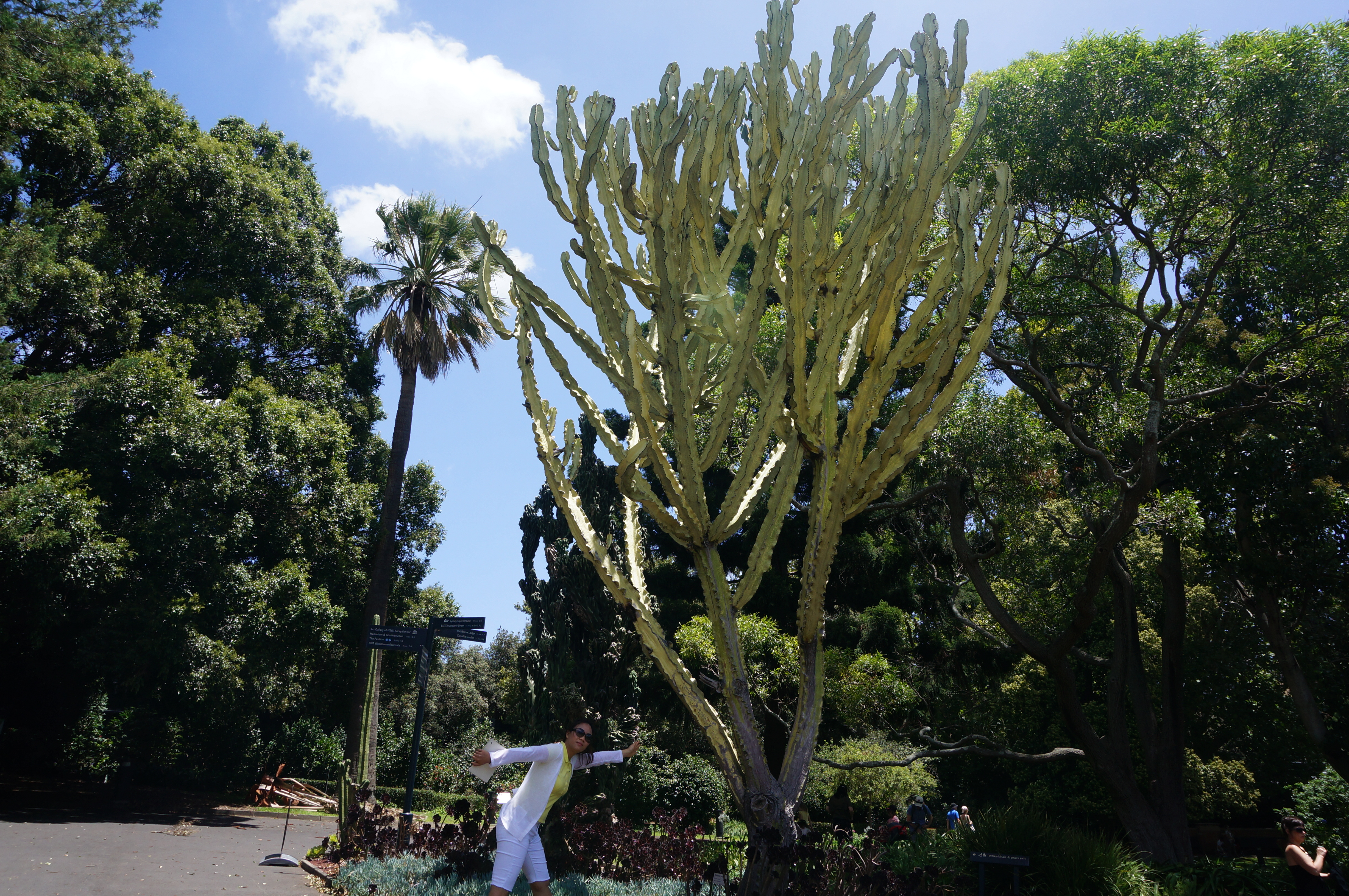 '"DSC01934.JPG"'