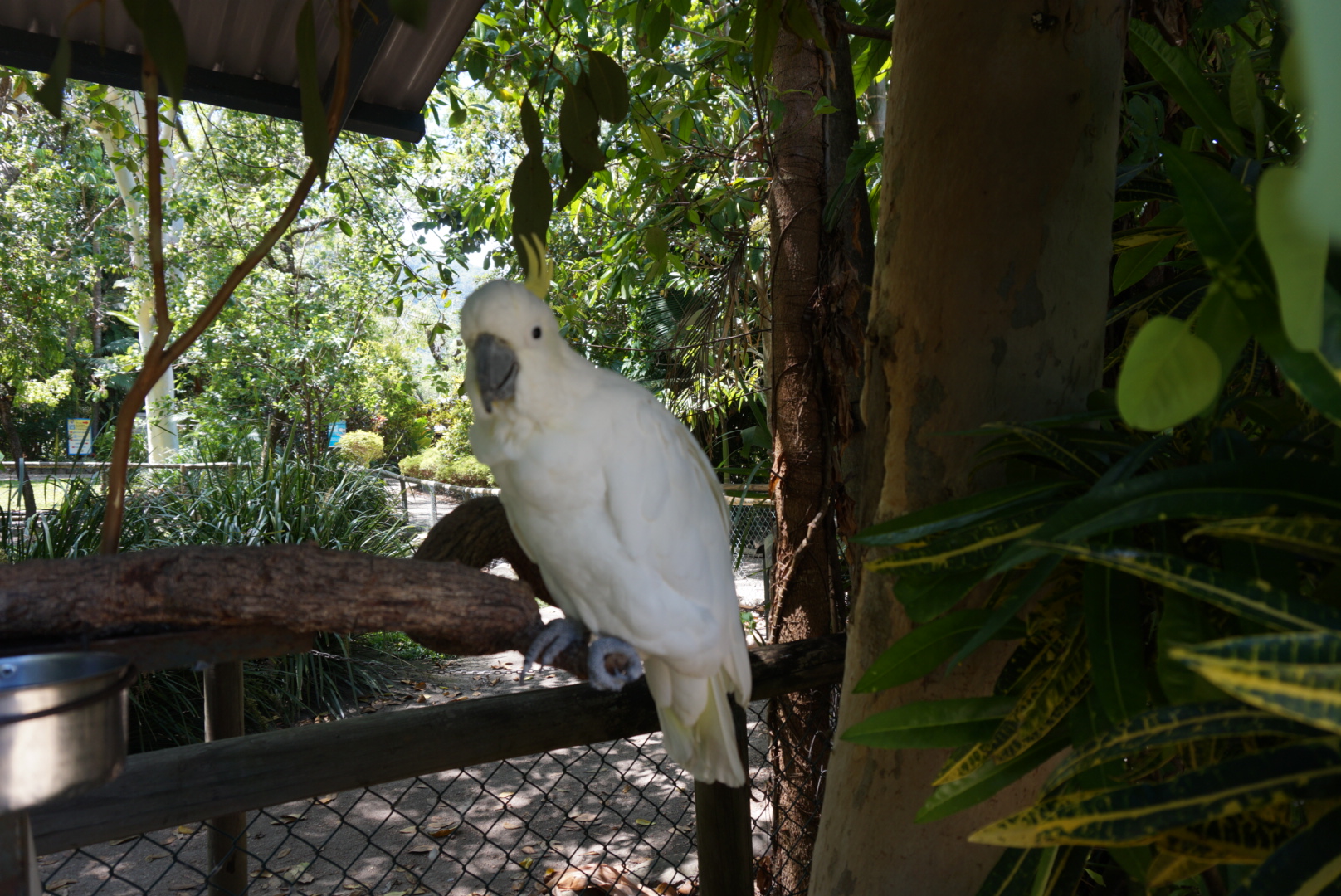 DSC00806.JPG