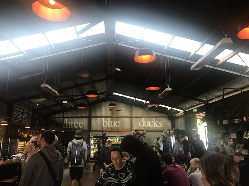 IMG_0668.jpeg