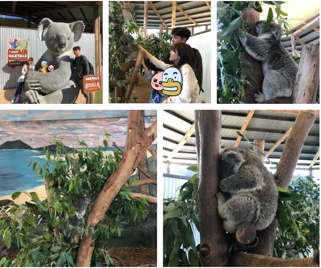 주석 2019-05-20 154019.JPG
