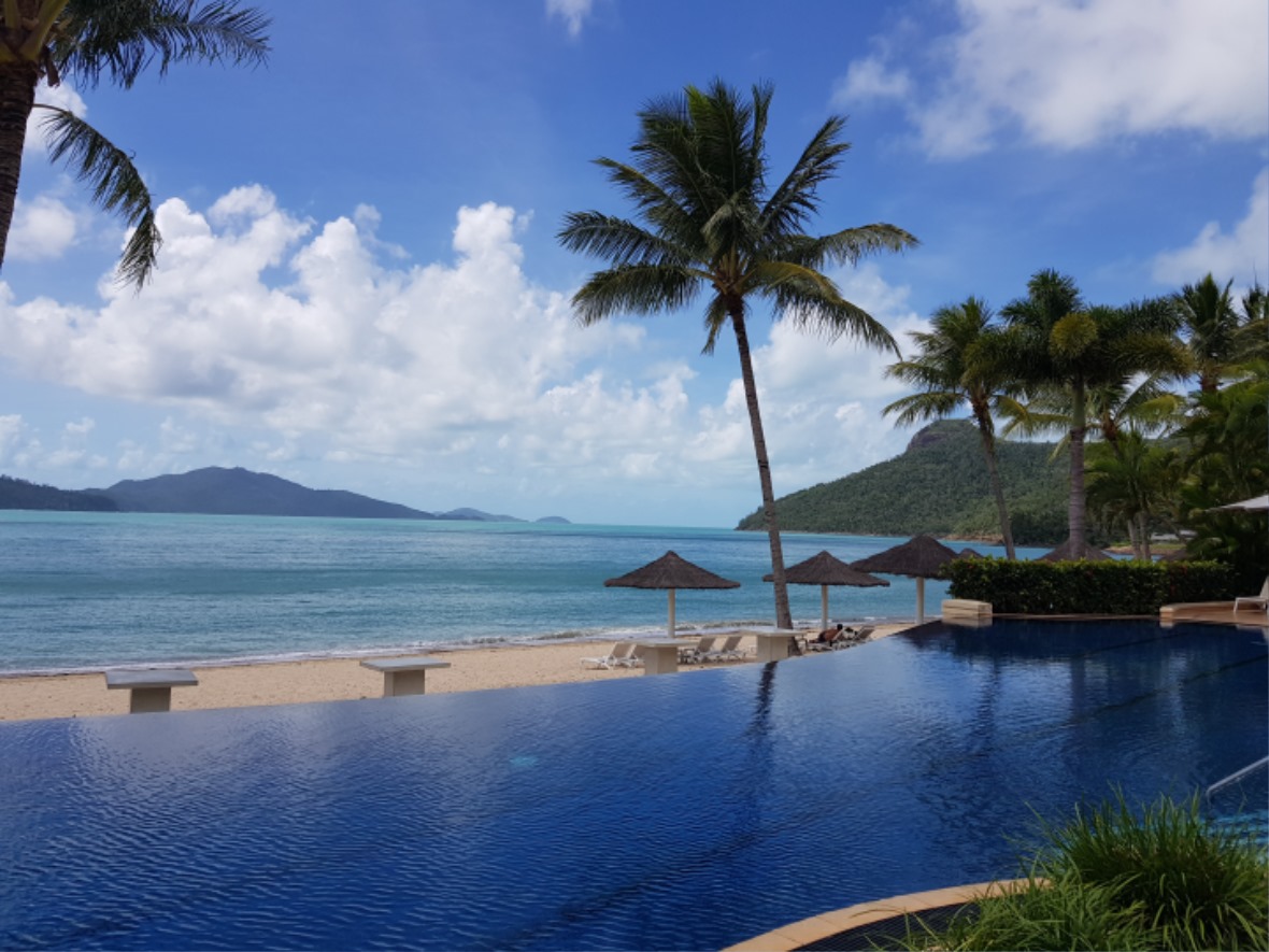 20190408_123254.jpg