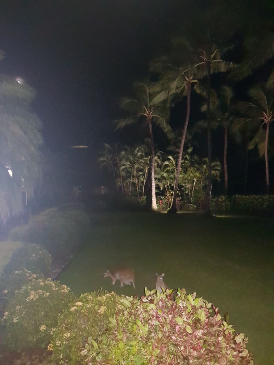 20190410_195433.jpg