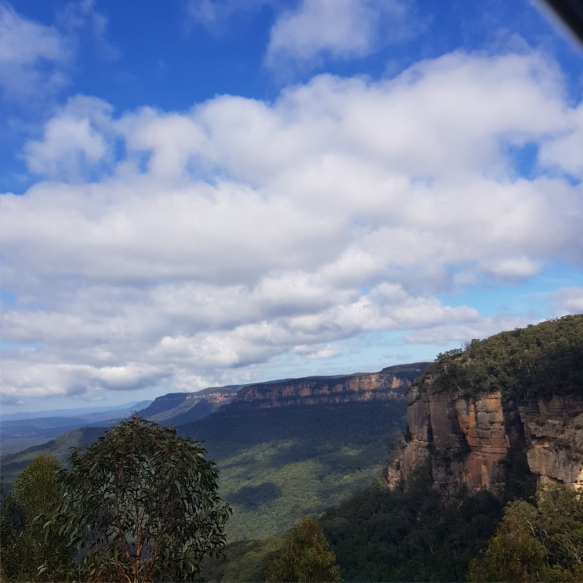 20190412_100927.jpg
