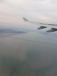 20190526_192146.jpg