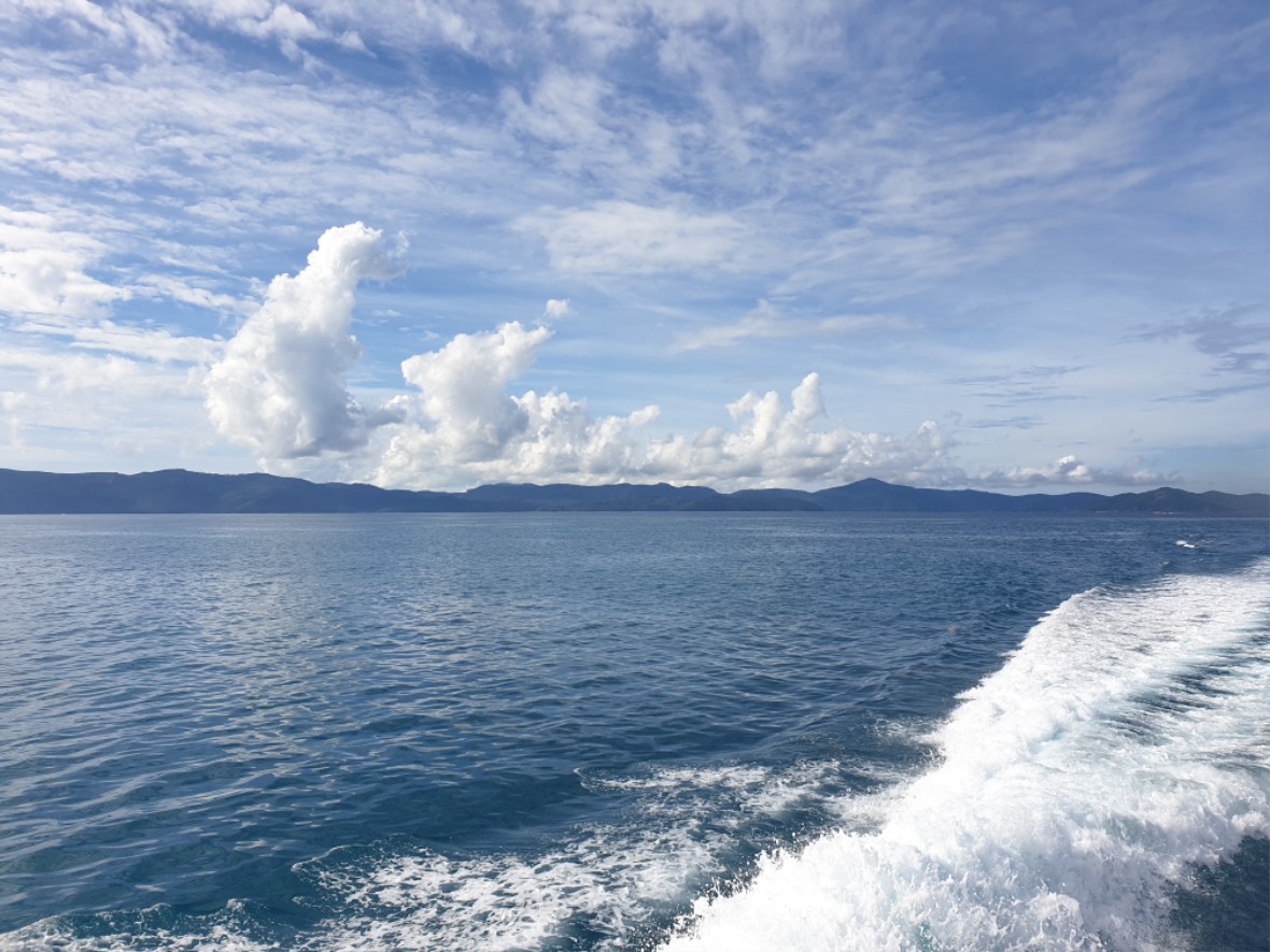 20190528_093327.jpg