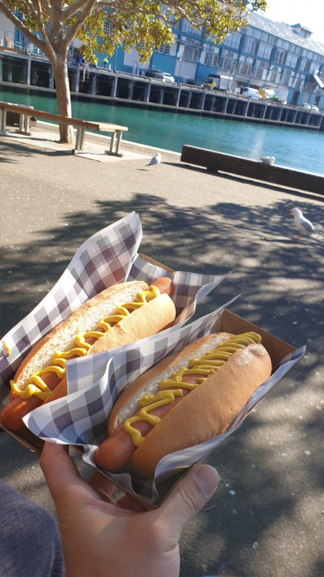 20190531_100959.jpg