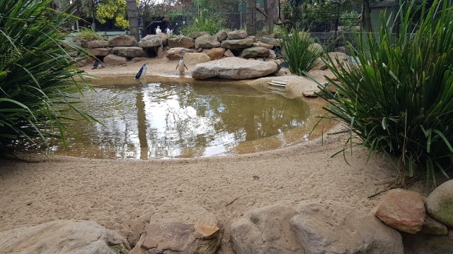 KakaoTalk_20191026_141944593_02.jpg
