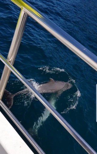 KakaoTalk_20191026_145612388.jpg