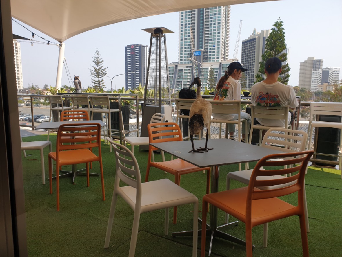 20191211_090123.jpg
