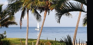 20200117_063803.jpg