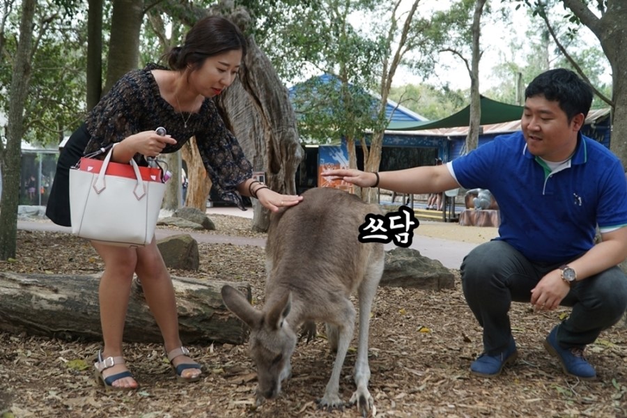 64.jpg