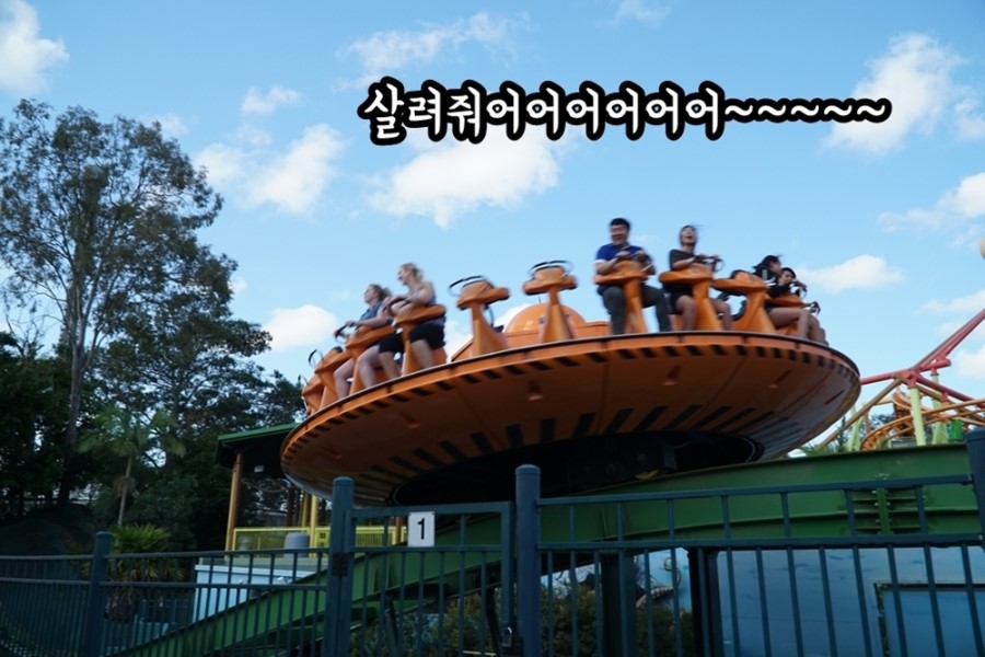 71.jpg