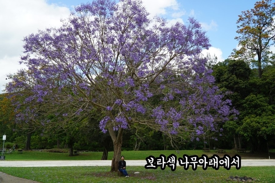 80.jpg